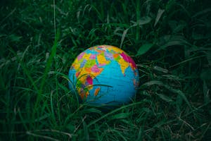 A globe resting on a bed of green grass.
