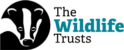 Wildlfie trust logo, featuring a badgers face